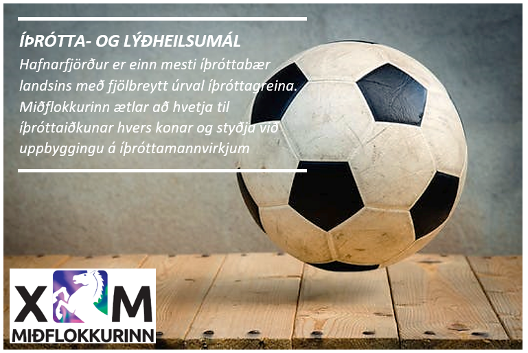 Íþrótta- og lýðheilsumál